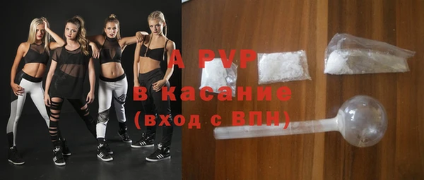 эйфоретик Бородино