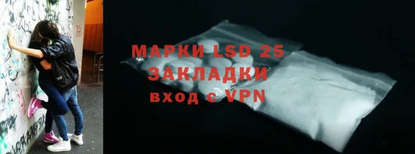 эйфоретик Бородино