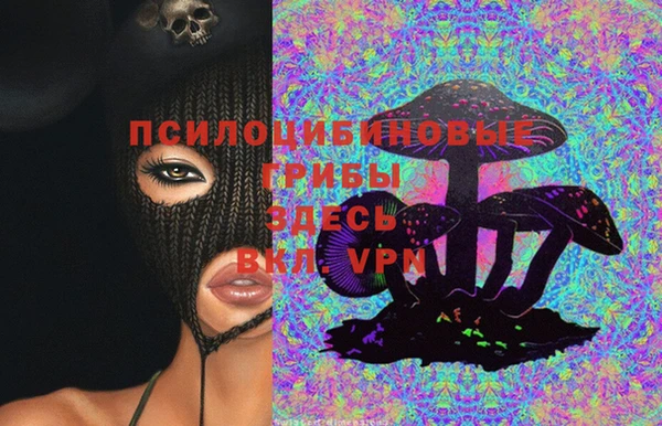 эйфоретик Бородино