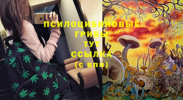 Альфа ПВП Бронницы