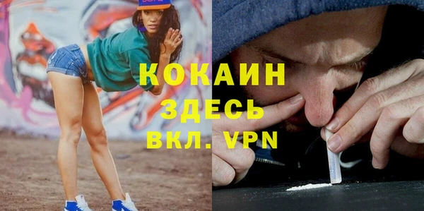 эйфоретик Бородино