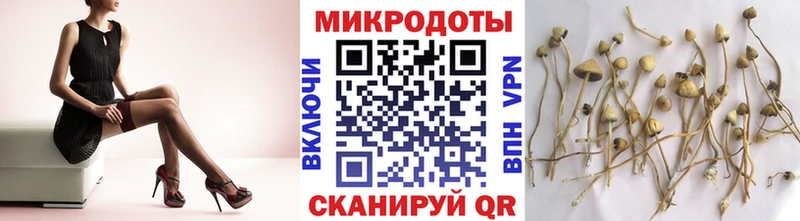 Псилоцибиновые грибы мухоморы Санкт-Петербург